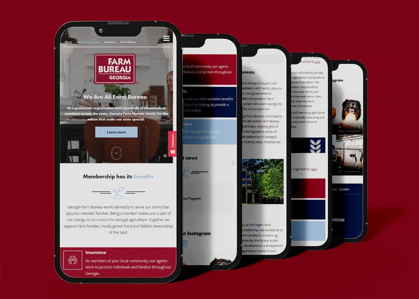 A line up of five phones showcasing mobile responsive web pages from the Georgia Farm Bureau site