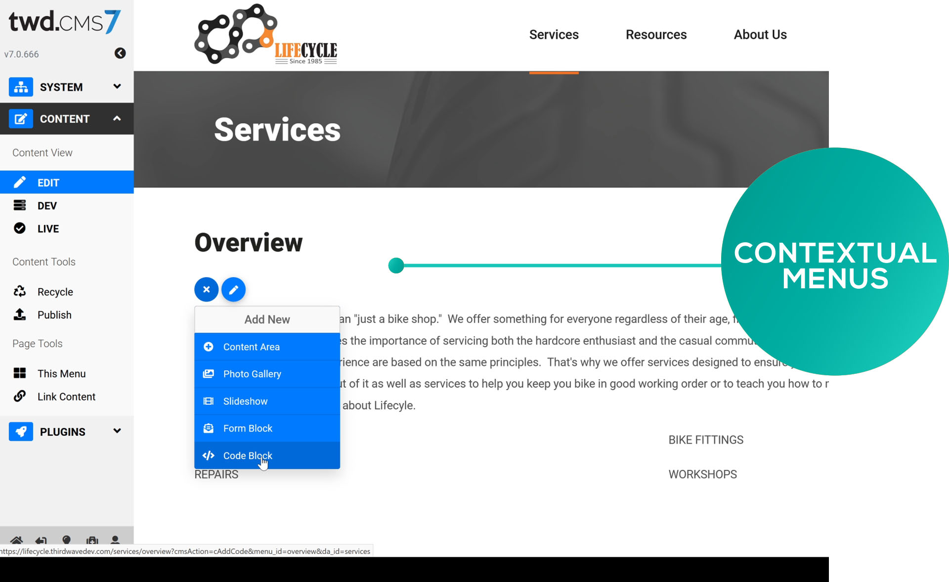 Web page screen shot of Third Wave Digital content management system menu